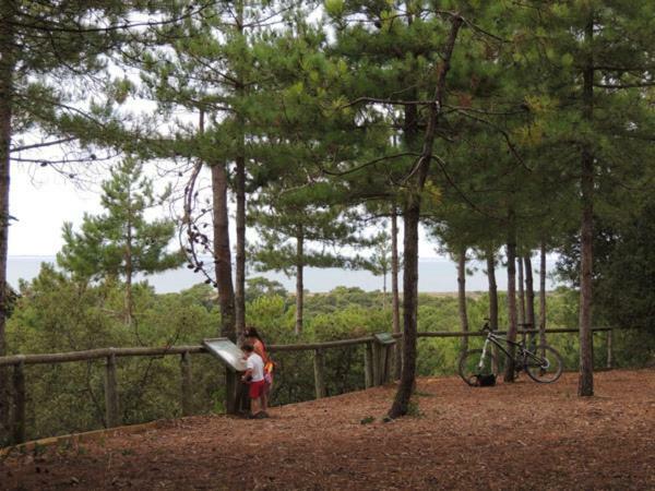 Camping Le Bois Verdon Saint-Jean-de-Monts Buitenkant foto